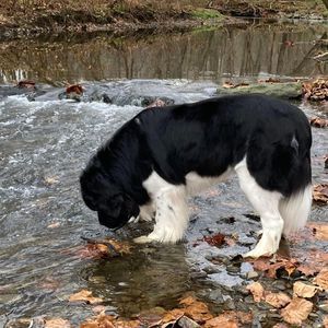 Meet your Posher, Patty